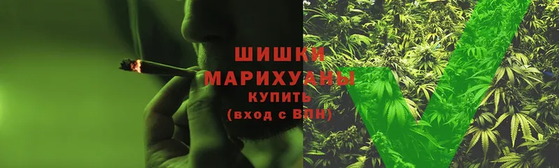 Бошки марихуана THC 21%  как найти   Тосно 